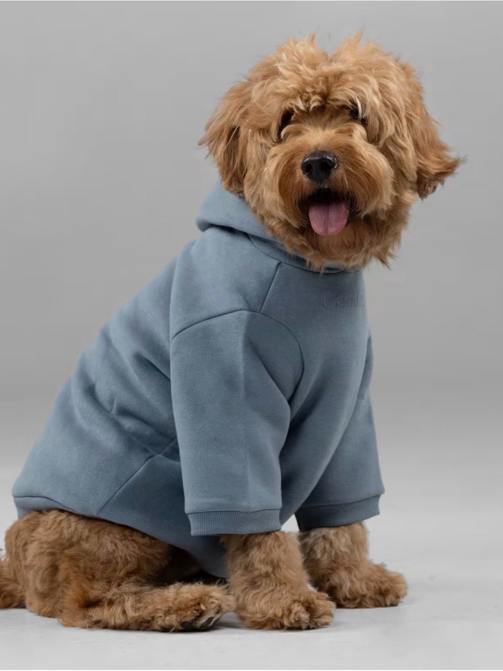 NWT- Comfrt Signature Paw Hoodie- Large (with free cream hoodie)